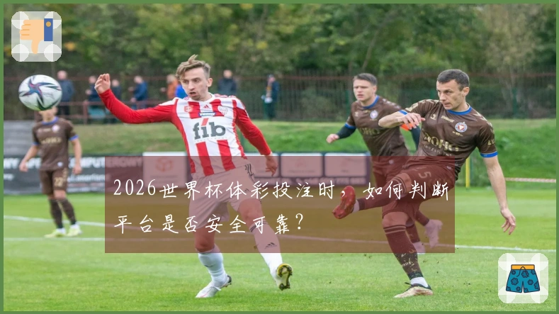 2026世界杯体彩投注时，如何判断平台是否安全可靠？