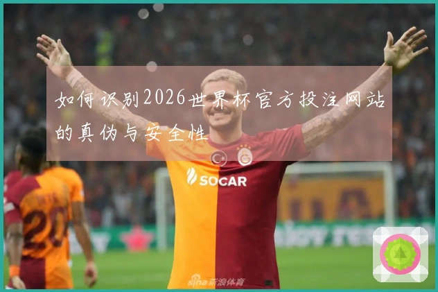 如何识别2026世界杯官方投注网站的真伪与安全性