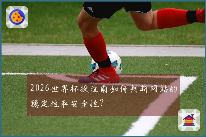2026世界杯投注前如何判断网站的稳定性和安全性？