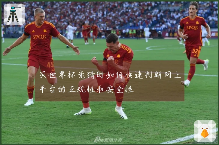 买世界杯竞猜时如何快速判断网上平台的正规性和安全性