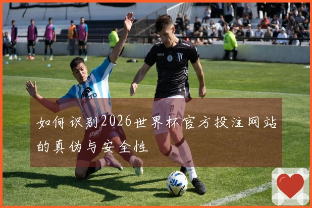 如何识别2026世界杯官方投注网站的真伪与安全性